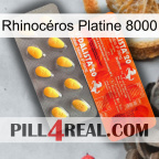 Rhinocéros Platine 8000 new01
